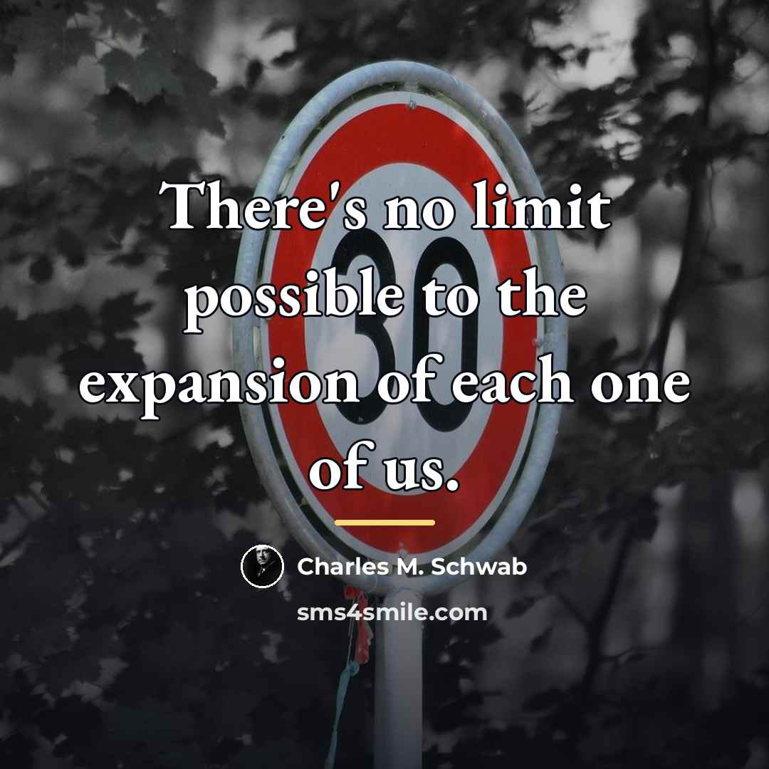 “There's no limit possible to the expansion of each one…” quote by Charles M. Schwab