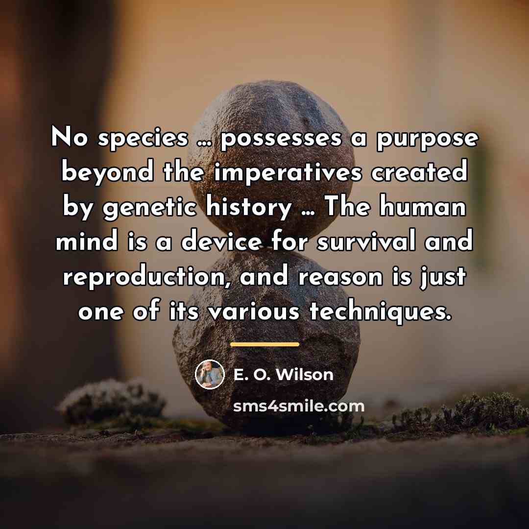 “No species ... possesses a purpose beyond the imperatives created…” quote by E. O. Wilson