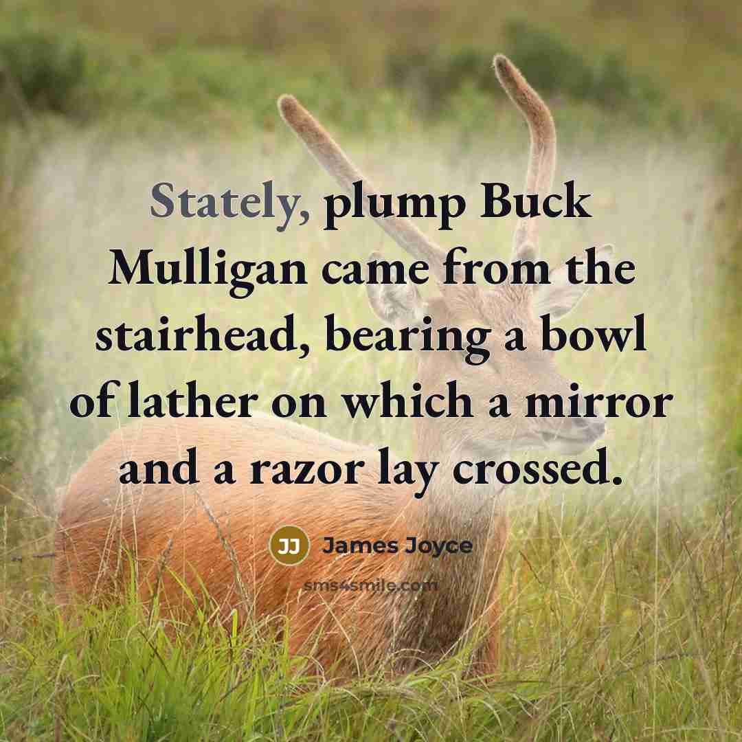 “Stately, plump Buck Mulligan came from the stairhead, bearing a…” quote by James Joyce