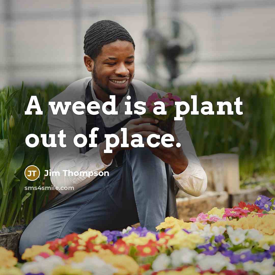 “A weed is a plant out of place.…” quote by Jim Thompson