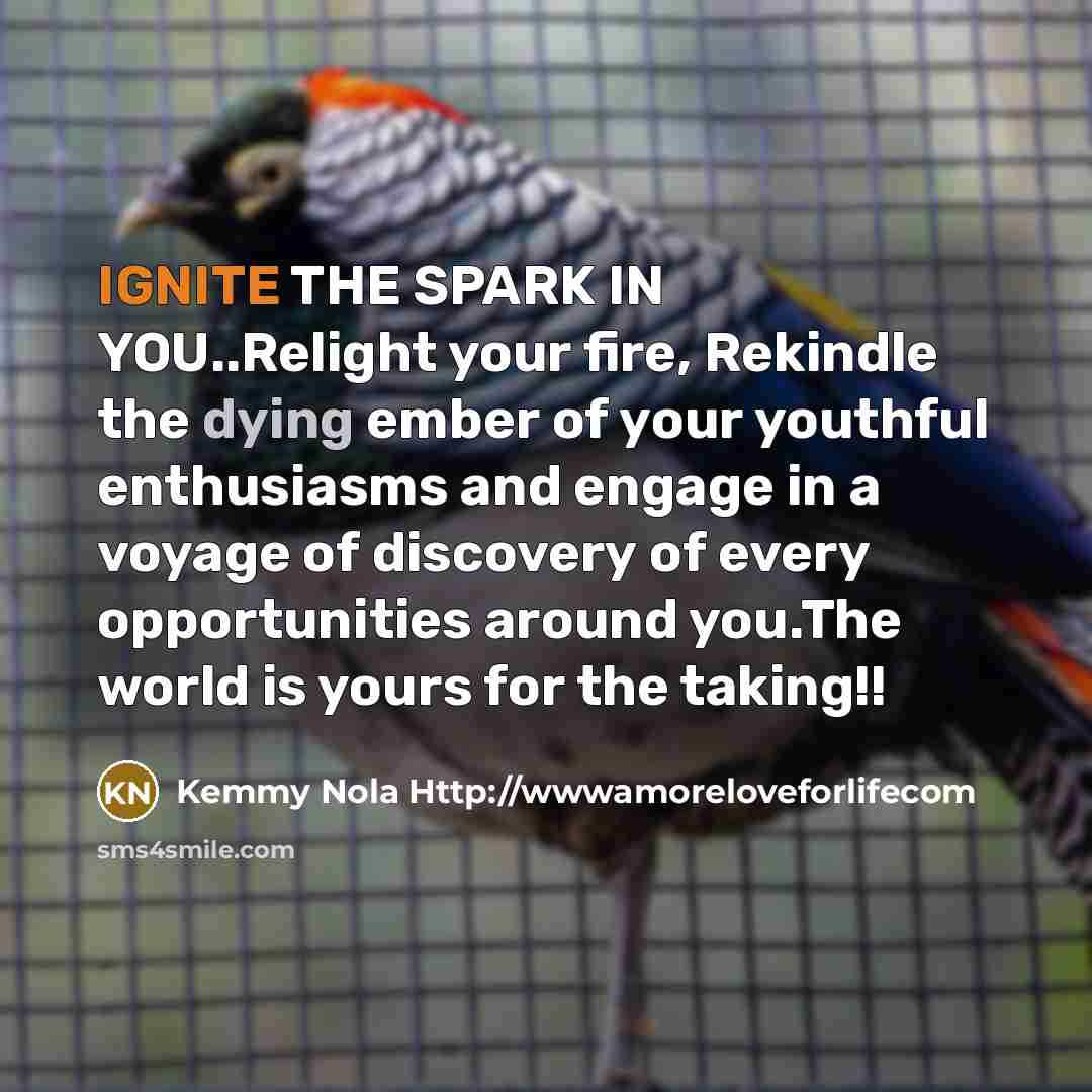“IGNITE THE SPARK IN YOU..Relight your fire, Rekindle the dying…” quote by Kemmy Nola Http://wwwamoreloveforlifecom