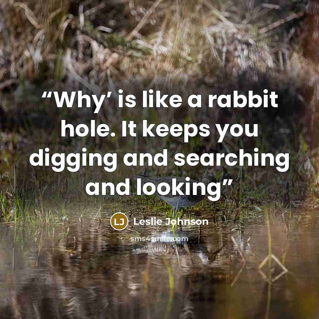 “Why’ is like a rabbit hole. It keeps you digging and searching and looking” quote by Leslie Johnson