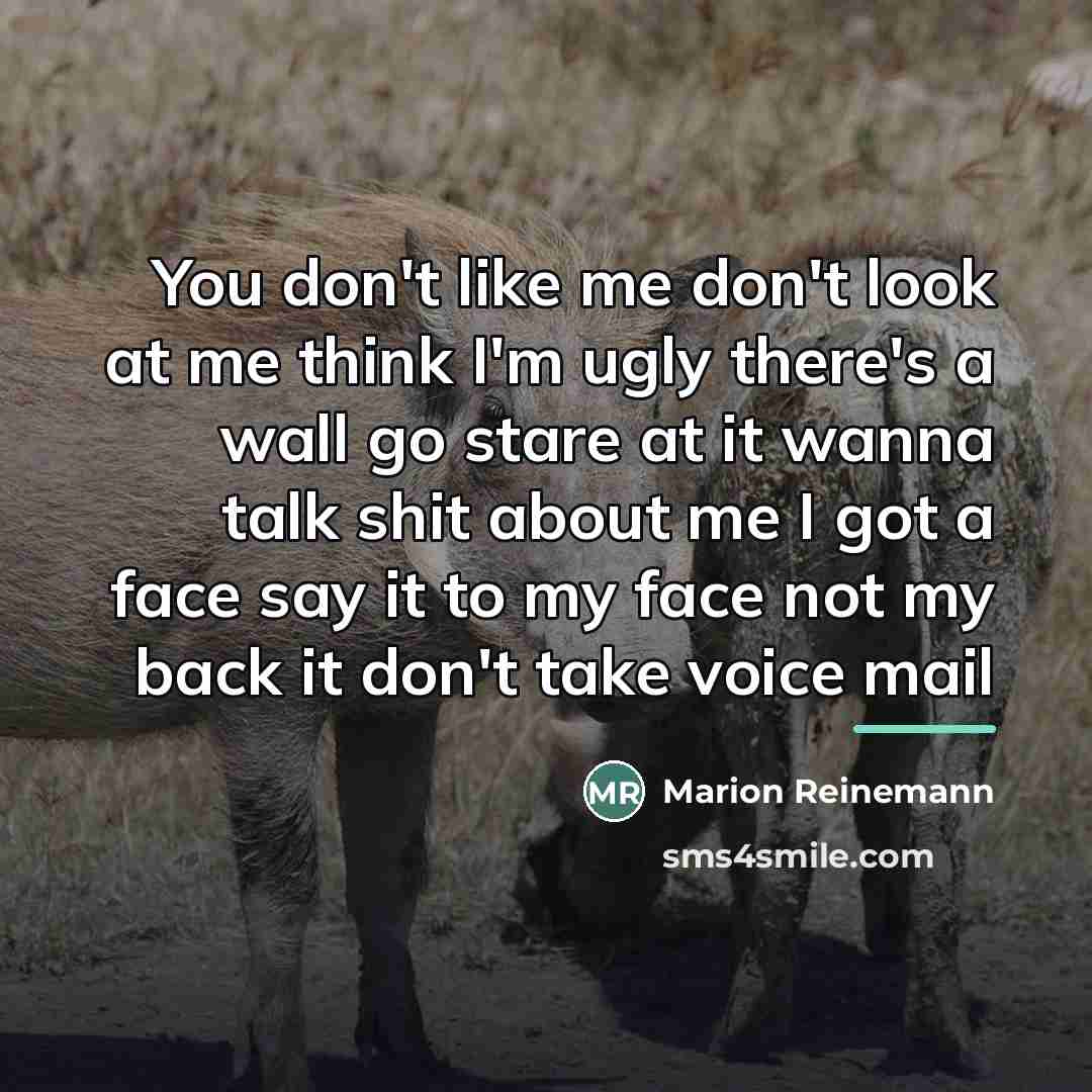 “You don't like me don't look at me think I'm…” quote by Marion Reinemann