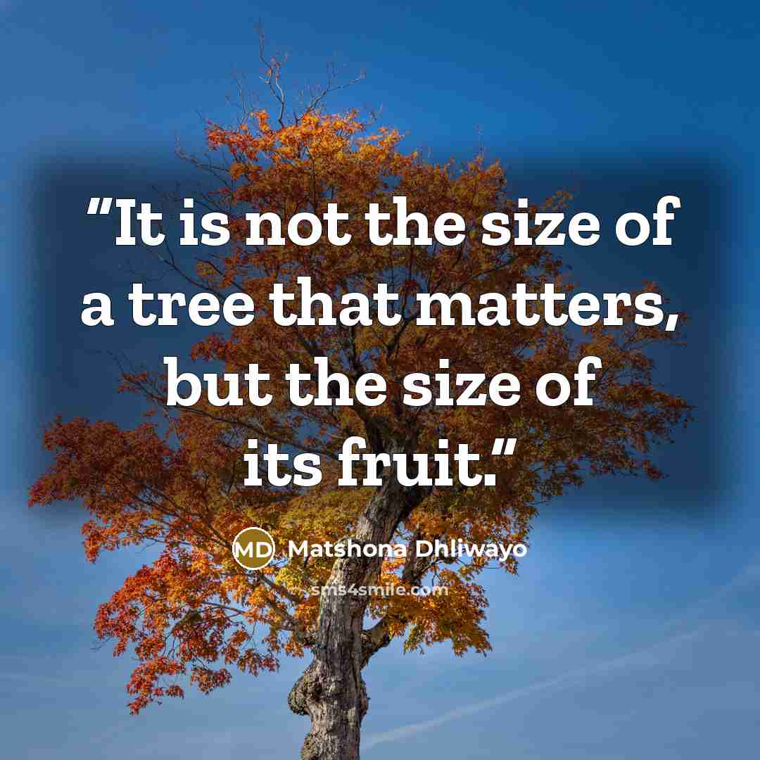“It is not the size of a tree that matters, but the size of its fruit.” quote by Matshona Dhliwayo