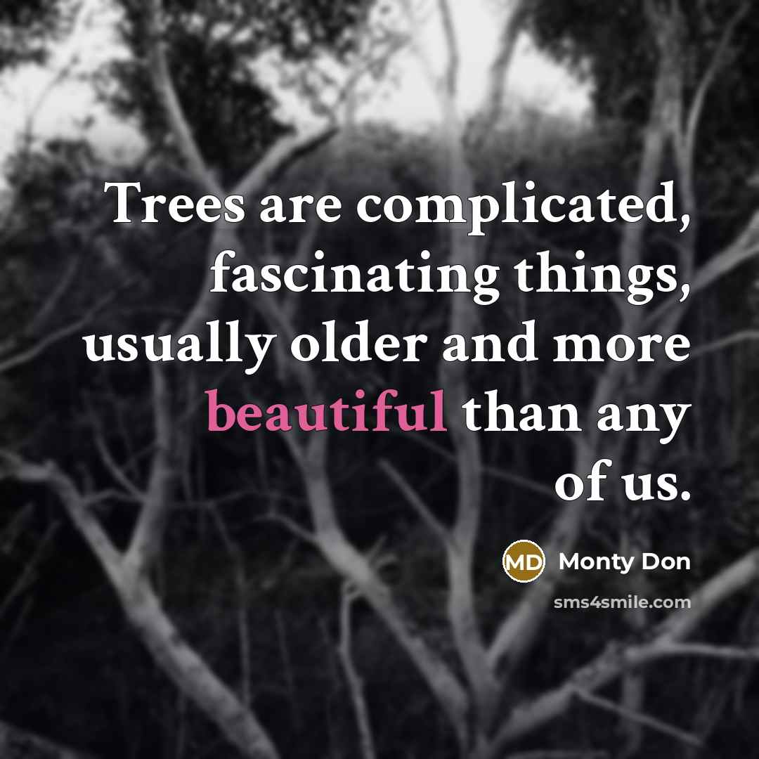 “Trees are complicated, fascinating things, usually older and more beautiful…” quote by Monty Don