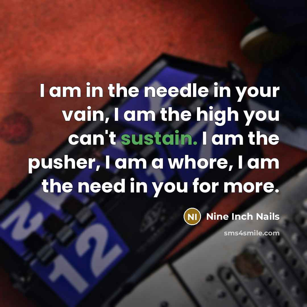 “I am in the needle in your vain, I am the high you can't sustain. I am the pusher, I am a whore, I am the need in you for more.” quote by Nine Inch Nails