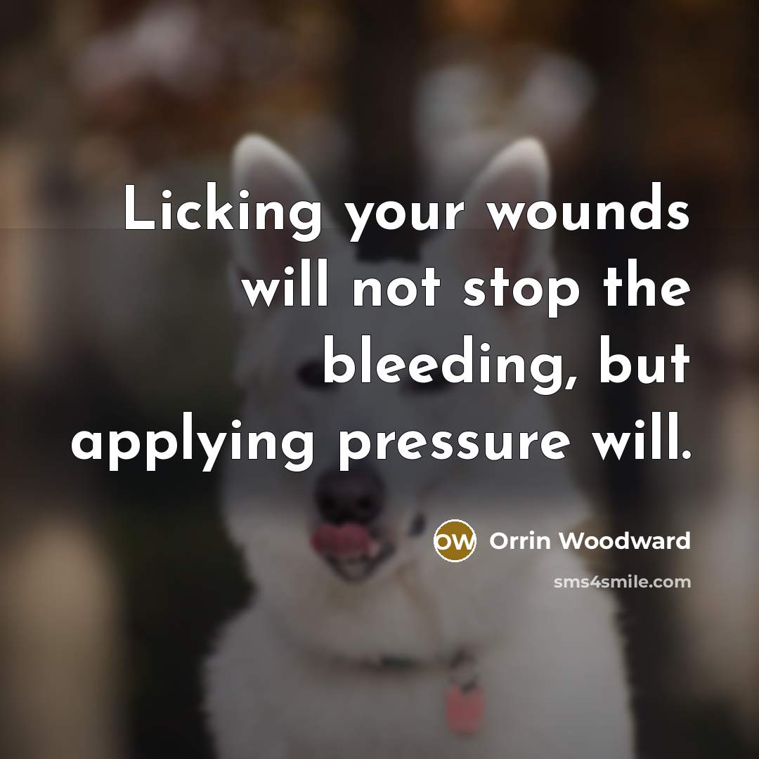 “Licking your wounds will not stop the bleeding, but applying…” quote by Orrin Woodward