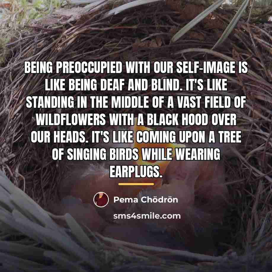 “Being preoccupied with our self-image is like being deaf and…” quote by Pema Chodron