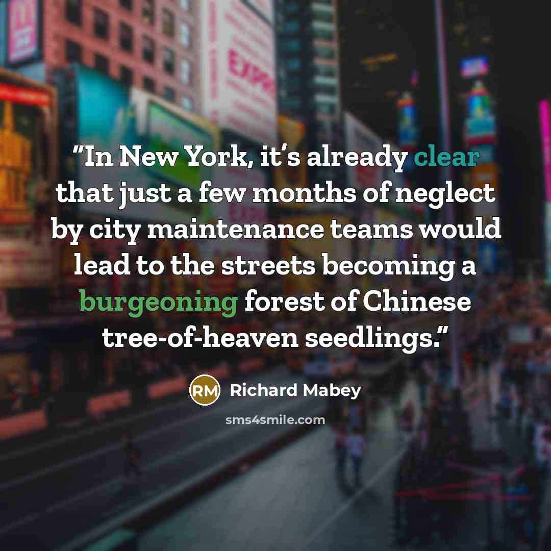 “In New York, it’s already clear that just a few months of neglect by city maintenance teams would lead to the streets becoming a burgeoning forest of Chinese tree-of-heaven seedlings.” quote by Richard Mabey