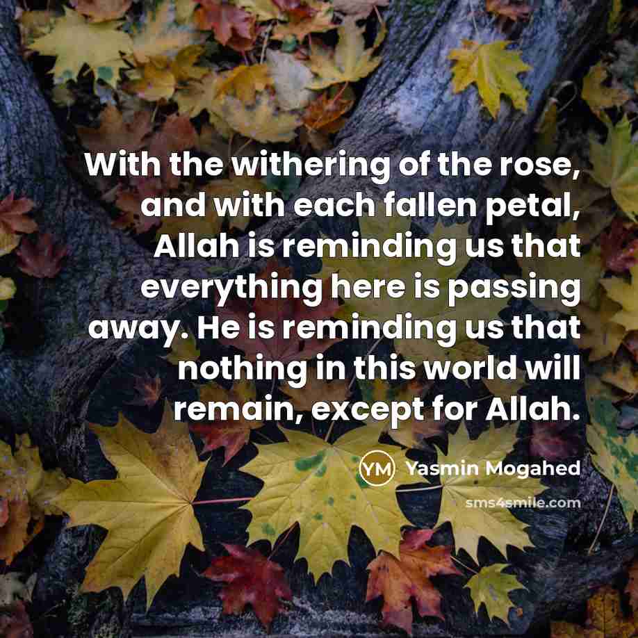 “With the withering of the rose, and with each fallen petal, Allah is reminding us that everything here is passing away. He is reminding us that nothing in this world will remain, except for Allah.” quote by Yasmin Mogahed