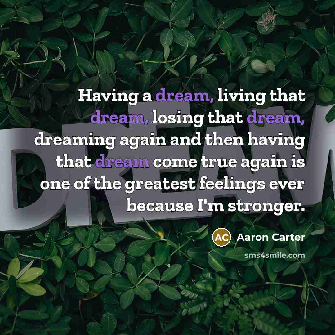 “Having a dream, living that dream, losing that dream, dreaming…” quote by Aaron Carter