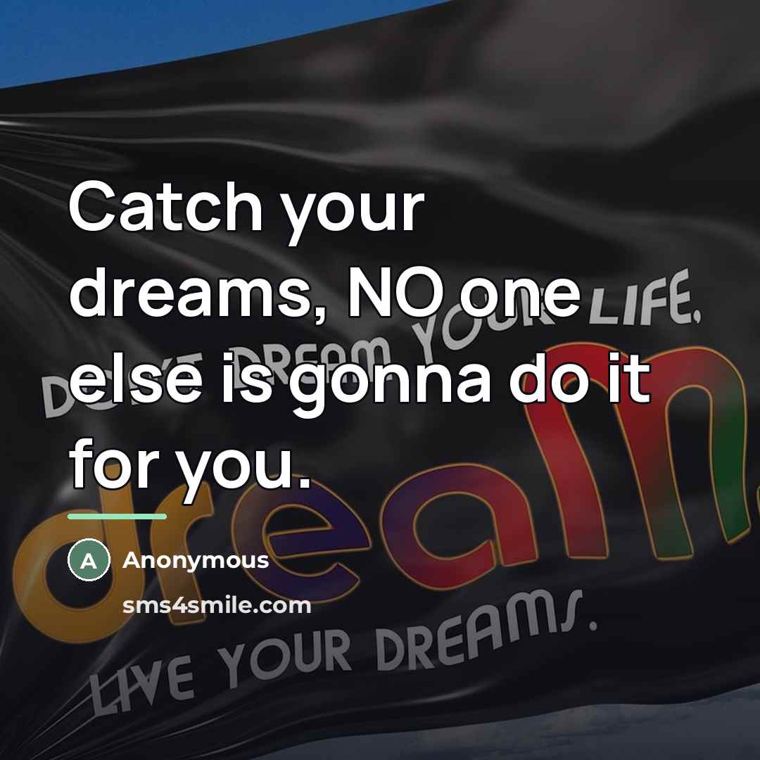 “Catch your dreams, NO one else is gonna do it…” quote by Anonymous