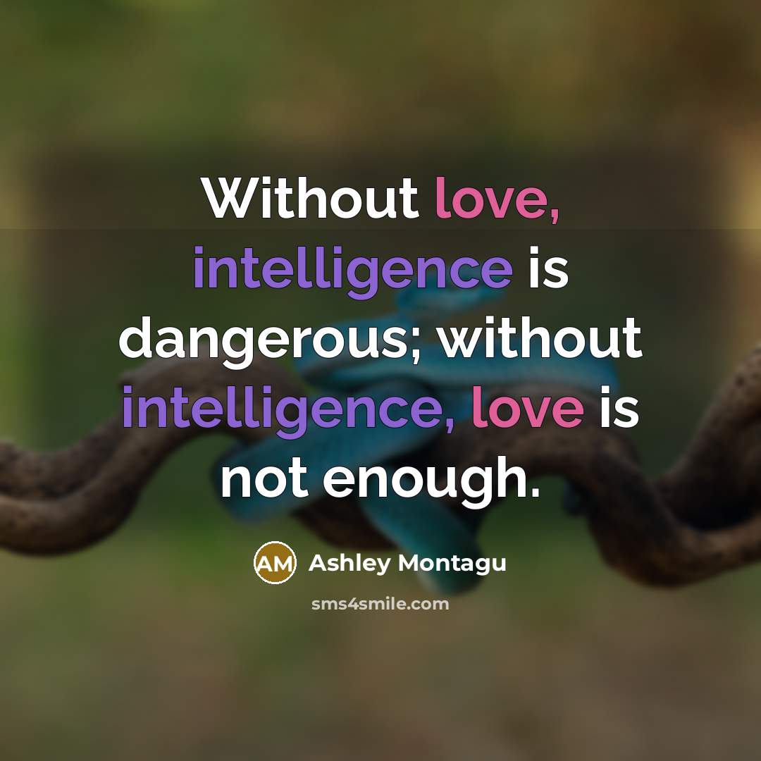 “Without love, intelligence is dangerous; without intelligence, love is not…” quote by Ashley Montagu