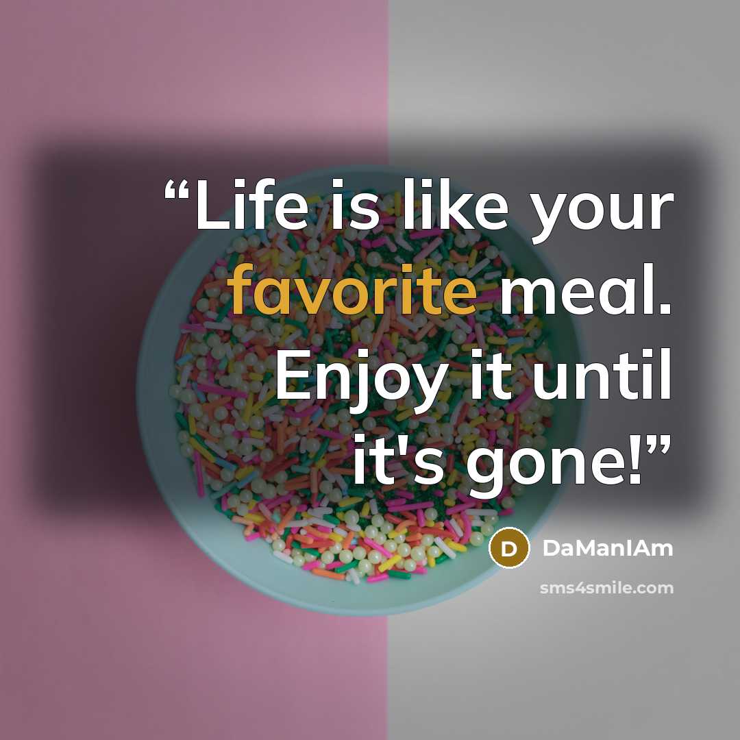 “Life is like your favorite meal. Enjoy it until it's gone!” quote by DaManIAm