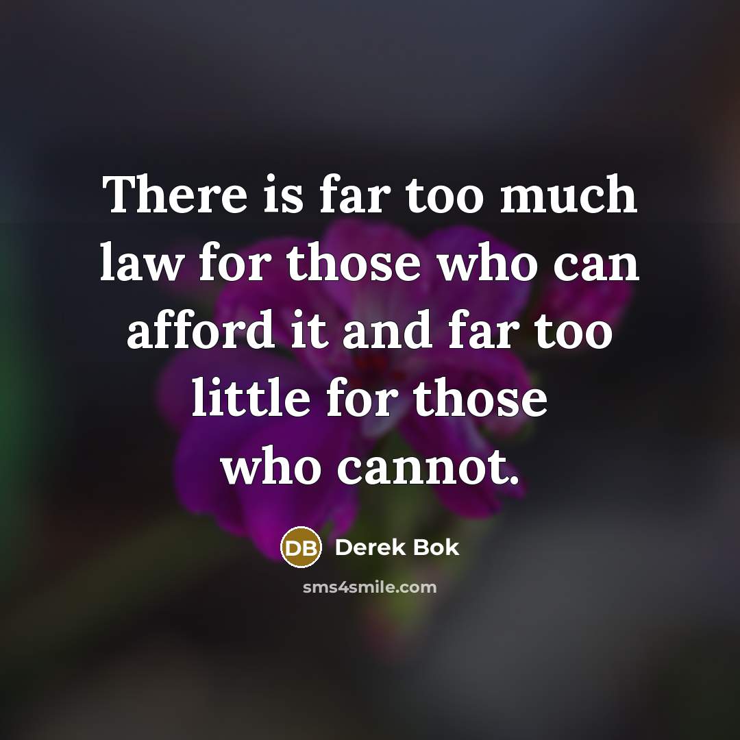 “There is far too much law for those who can…” quote by Derek Bok