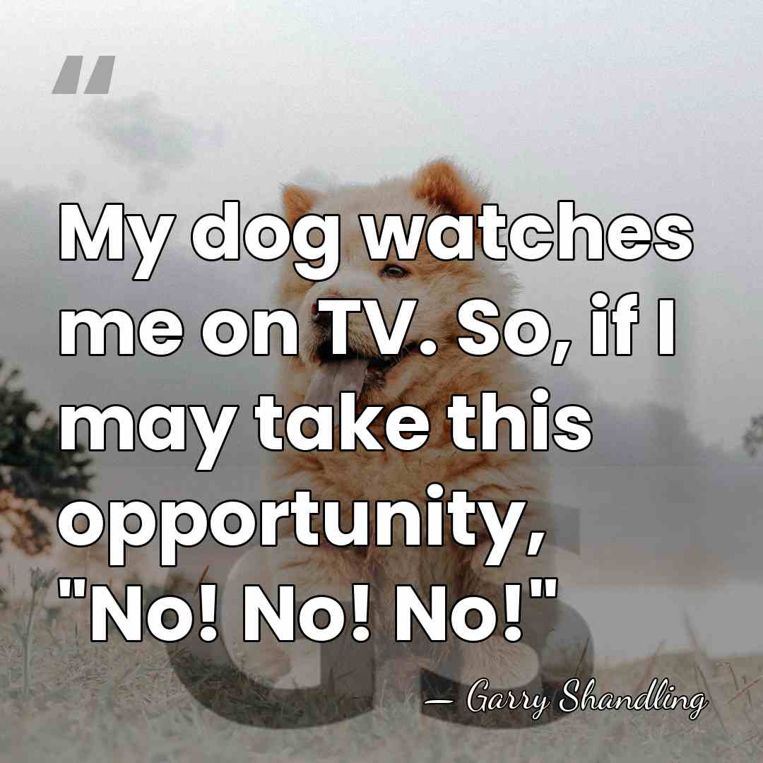 My dog watches me on TV. So, if I may take this&hellip; - Garry Shandling