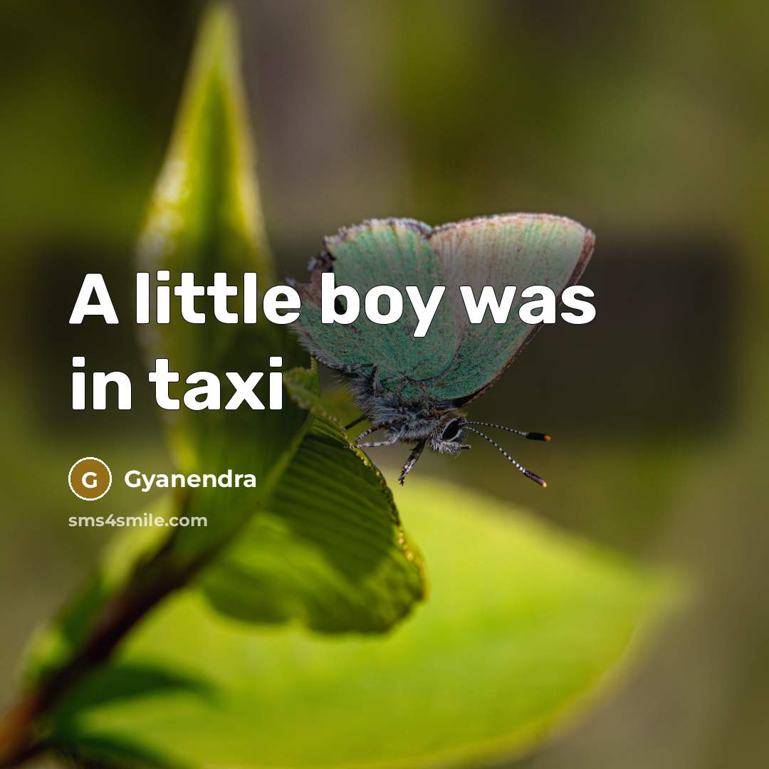 “A little boy was in taxi…” quote by Gyanendra