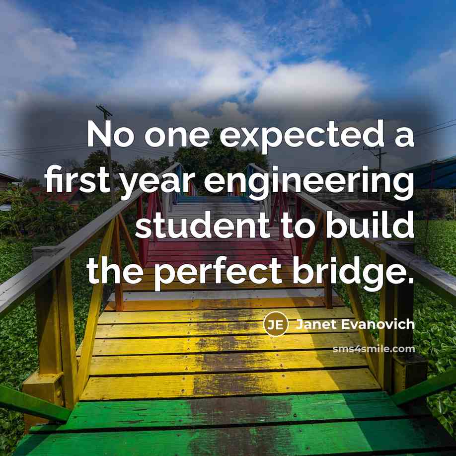 “No one expected a first year engineering student to build the perfect bridge.” quote by Janet Evanovich
