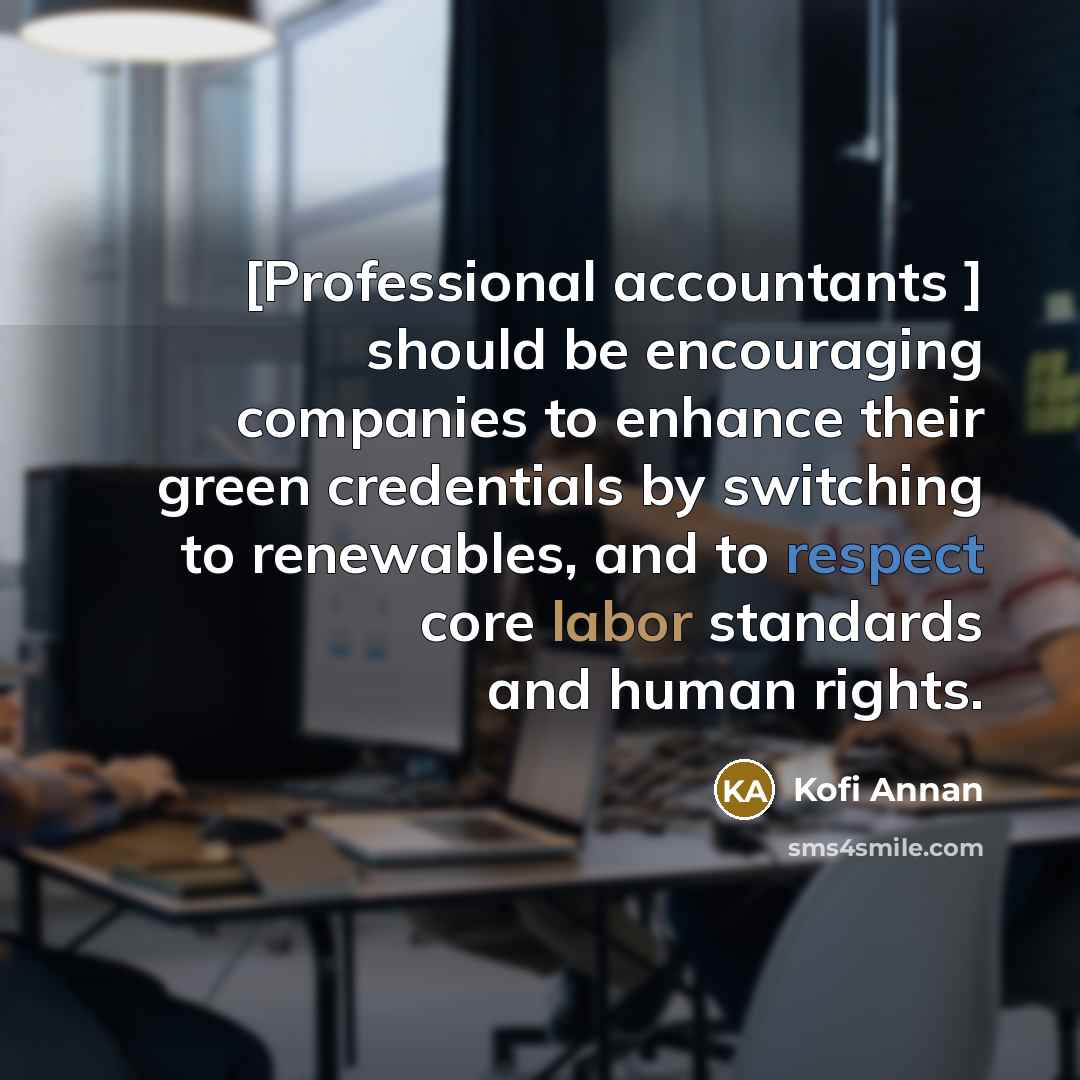 “[Professional accountants ] should be encouraging companies to enhance their…” quote by Kofi Annan
