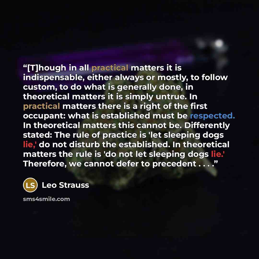 “[T]hough in all practical matters it is indispensable, either always or mostly, to follow custom, to do what is generally done, in theoretical matters it is simply untrue. In practical matters there is a right of the first occupant: what is established must be respected. In theoretical matters…” quote by Leo Strauss