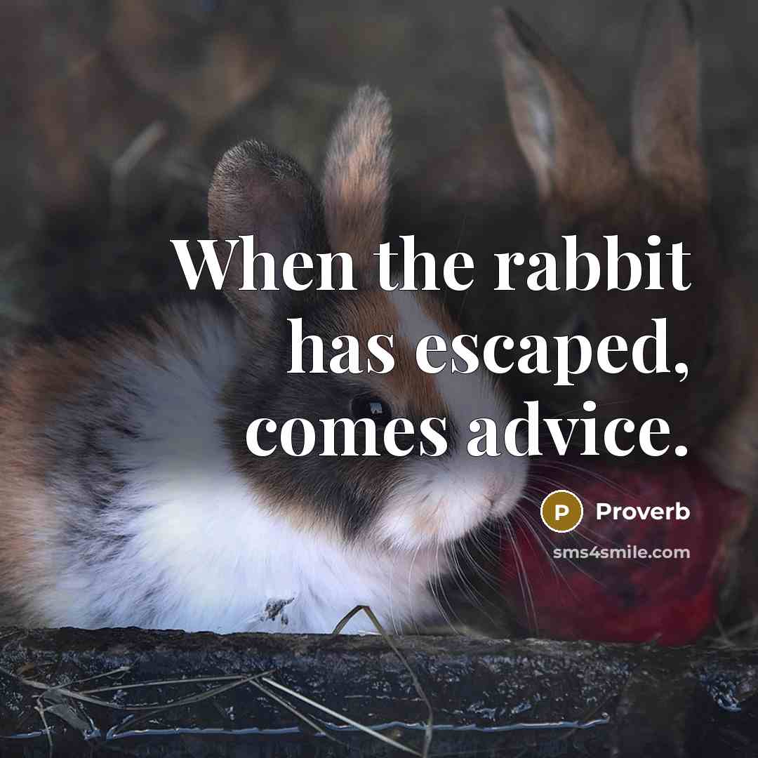 “When the rabbit has escaped, comes advice.…” quote by Proverb