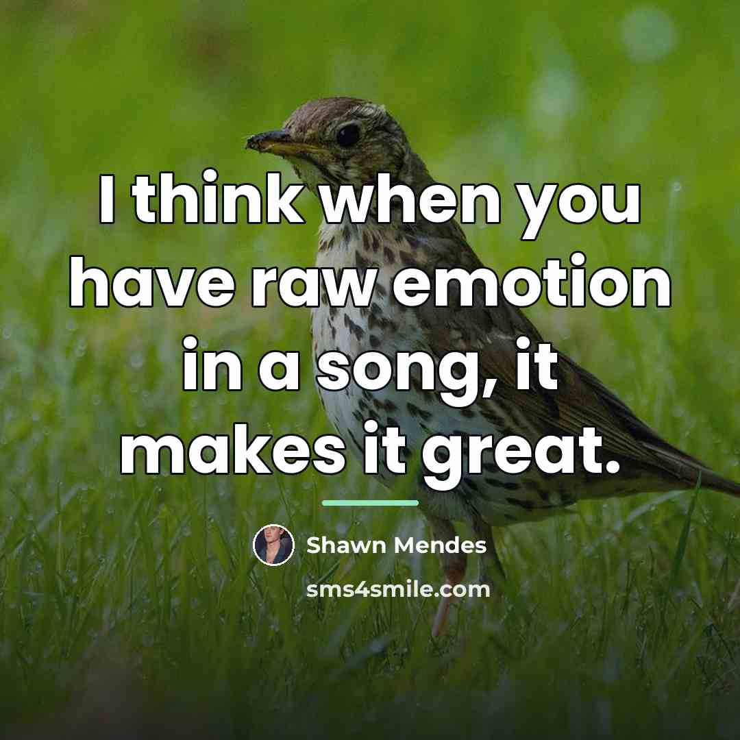 “I think when you have raw emotion in a song,…” quote by Shawn Mendes