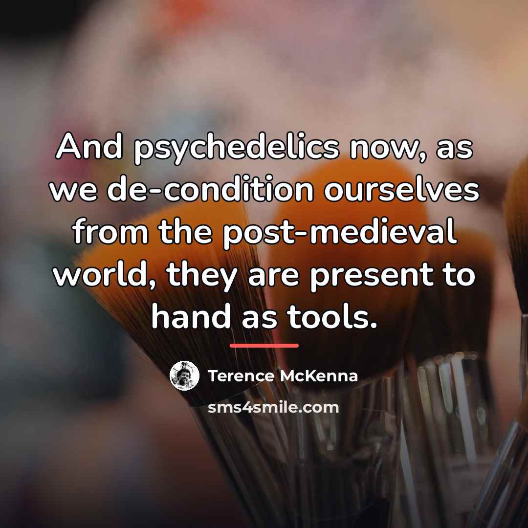 “And psychedelics now, as we de-condition ourselves from the post-medieval…” quote by Terence McKenna