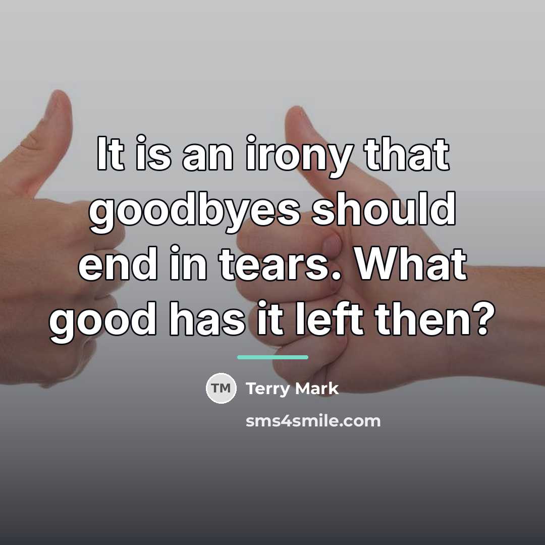 “It is an irony that goodbyes should end in tears.…” quote by Terry Mark