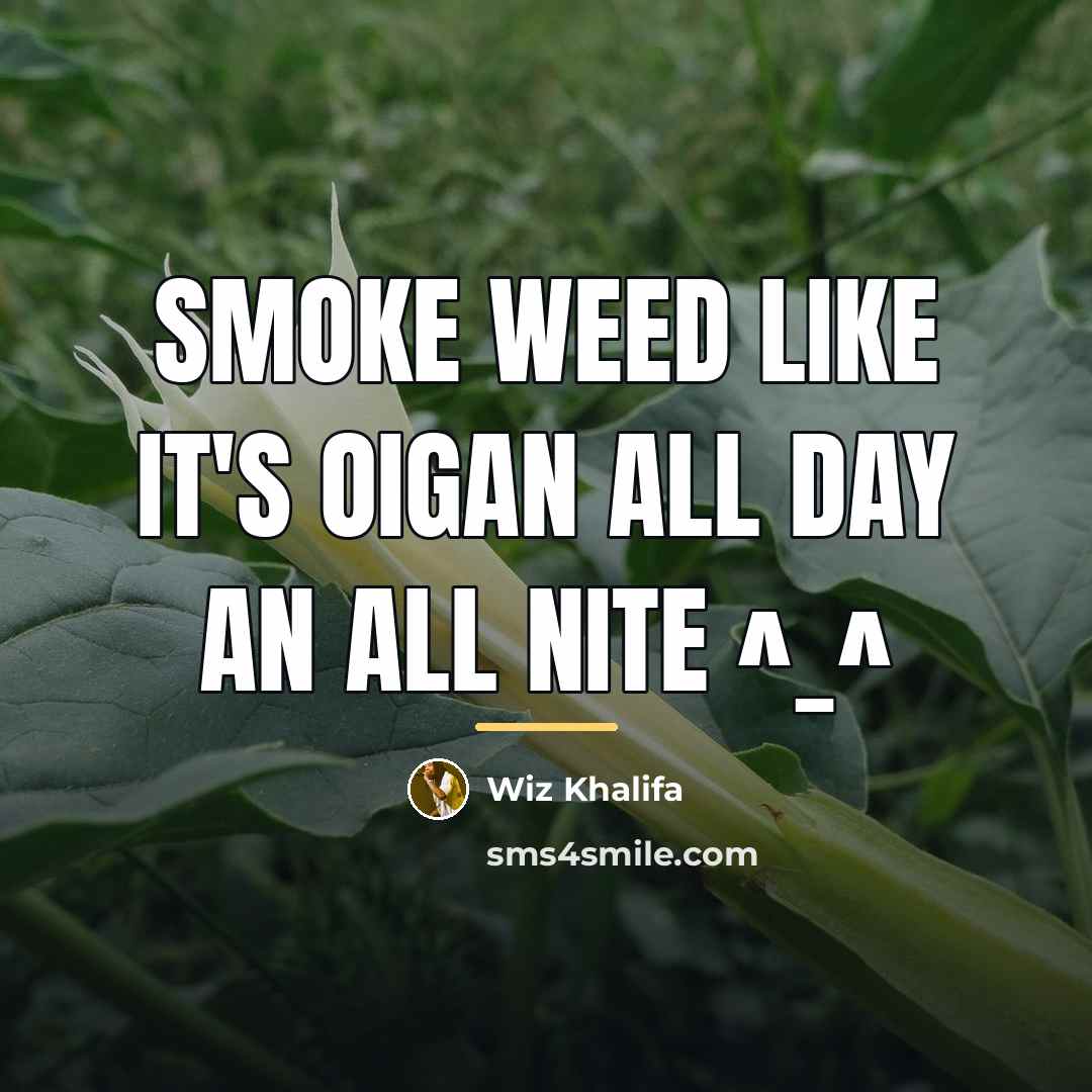 “Smoke weed like it's oigan all day an all nite…” quote by Wiz Khalifa