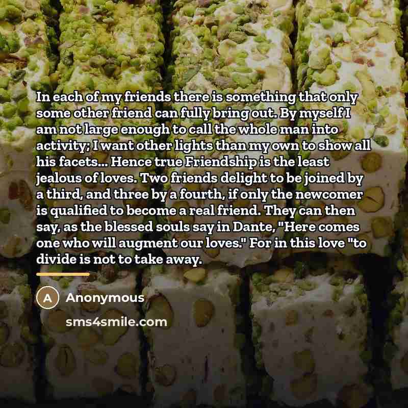 “In each of my friends there is something that only…” quote by Anonymous