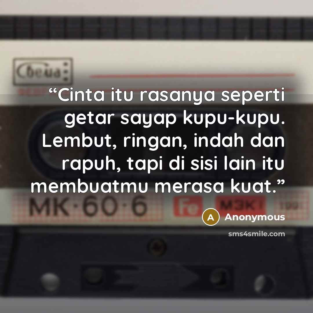 “Cinta itu rasanya seperti getar sayap kupu-kupu. Lembut, ringan, indah dan rapuh, tapi di sisi lain itu membuatmu merasa kuat.” quote by Anonymous
