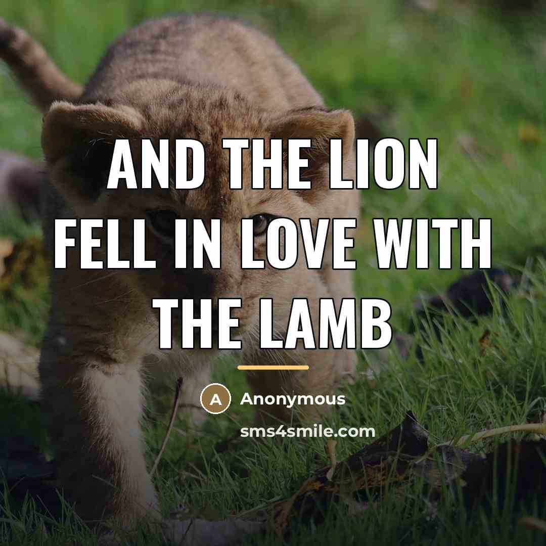 “And the lion fell in love with the lamb…” quote by Anonymous