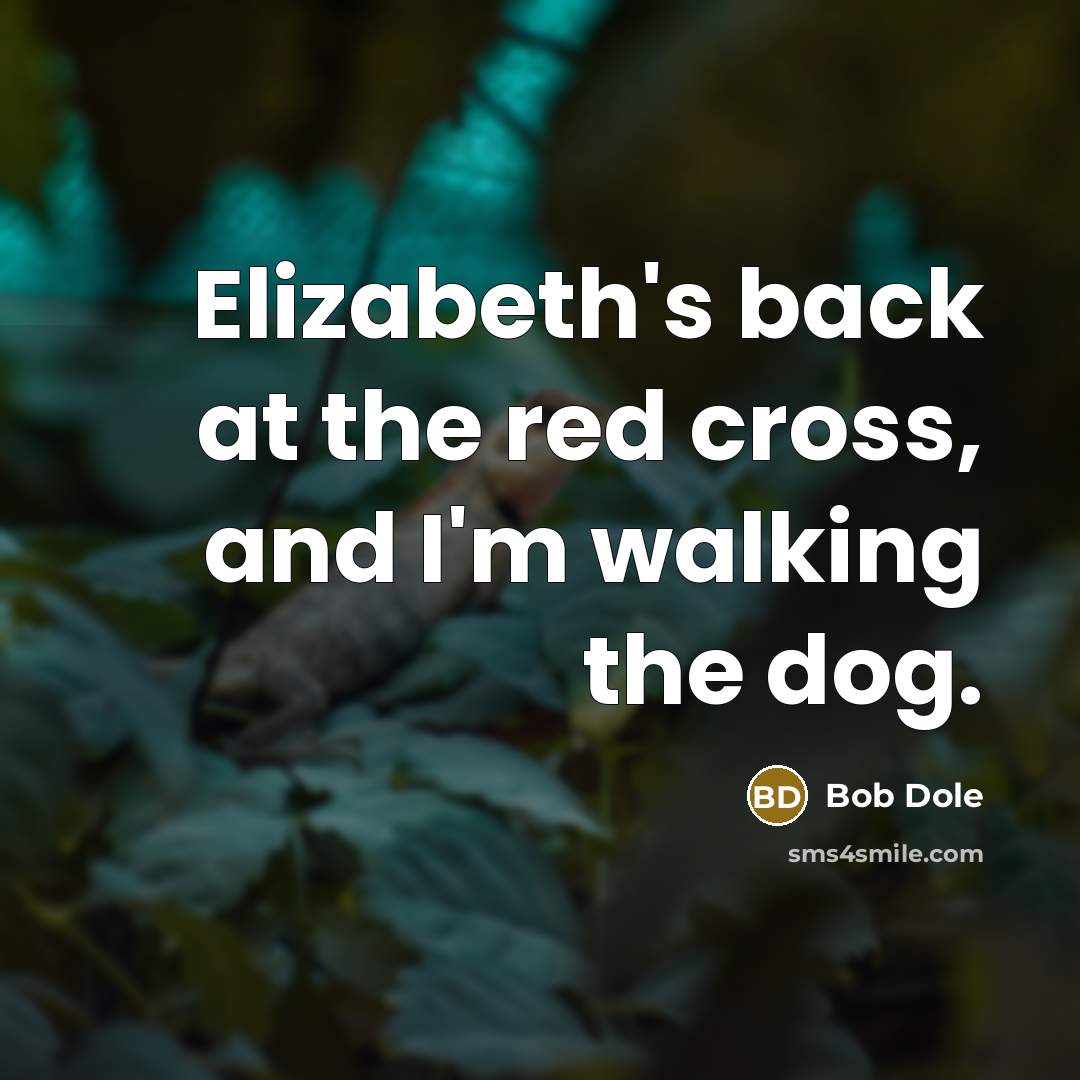 “Elizabeth's back at the red cross, and I'm walking the dog.” quote by Bob Dole