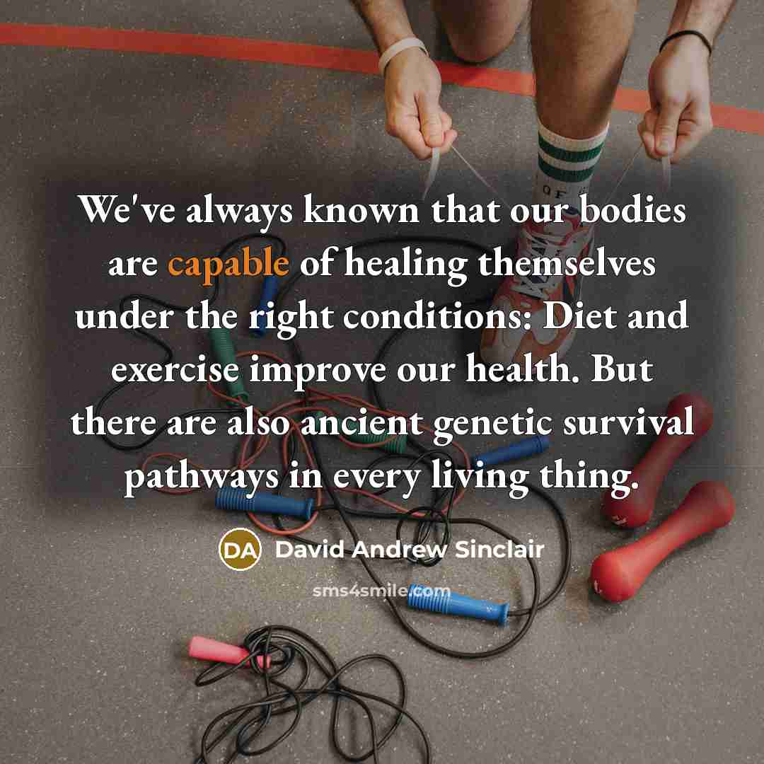 “We've always known that our bodies are capable of healing…” quote by David Andrew Sinclair