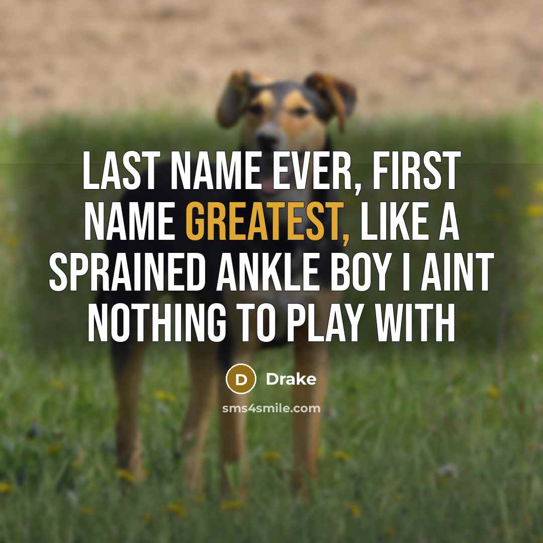“Last name ever, First name greatest, Like a sprained ankle boy I aint nothing to play with” quote by Drake