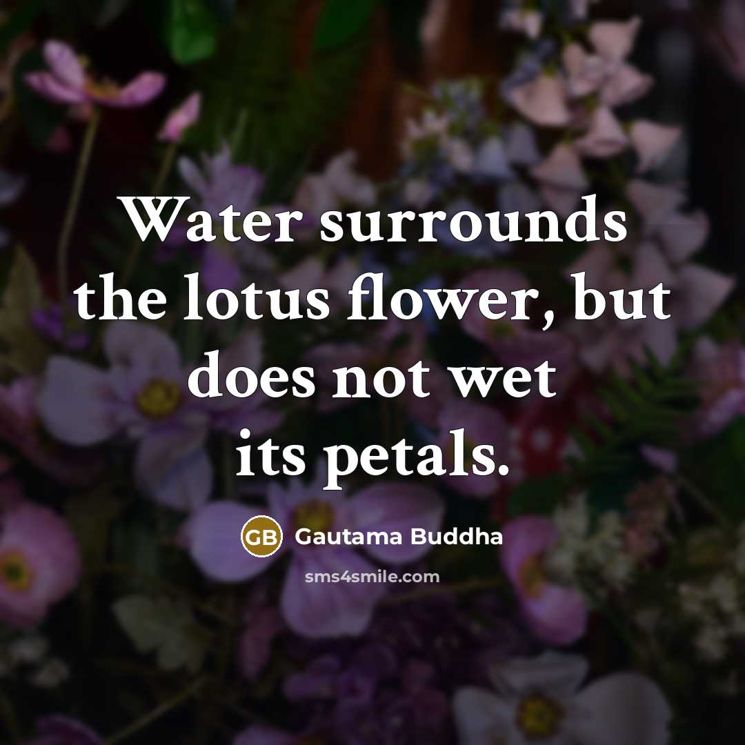 “Water surrounds the lotus flower, but does not wet its…” quote by Gautama Buddha