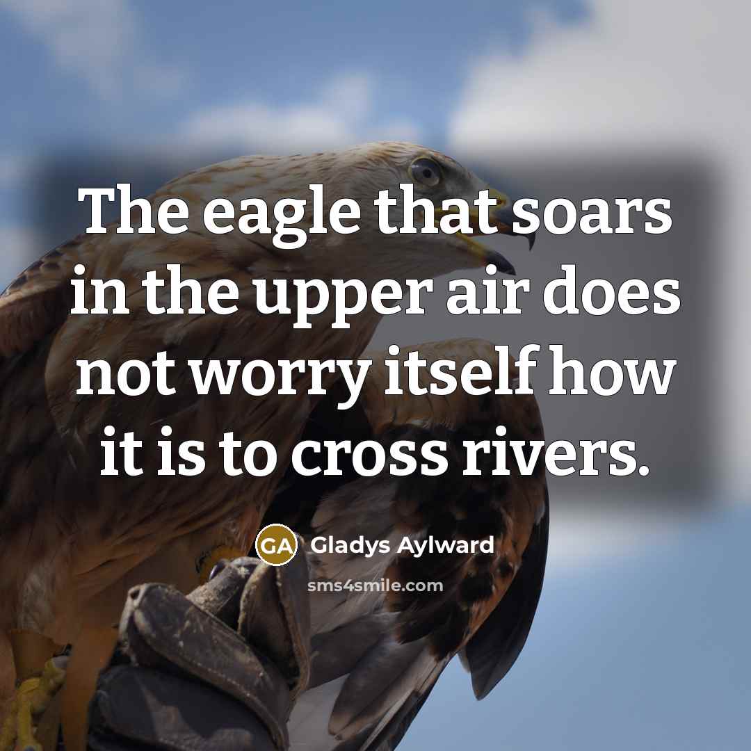 “The eagle that soars in the upper air does not…” quote by Gladys Aylward
