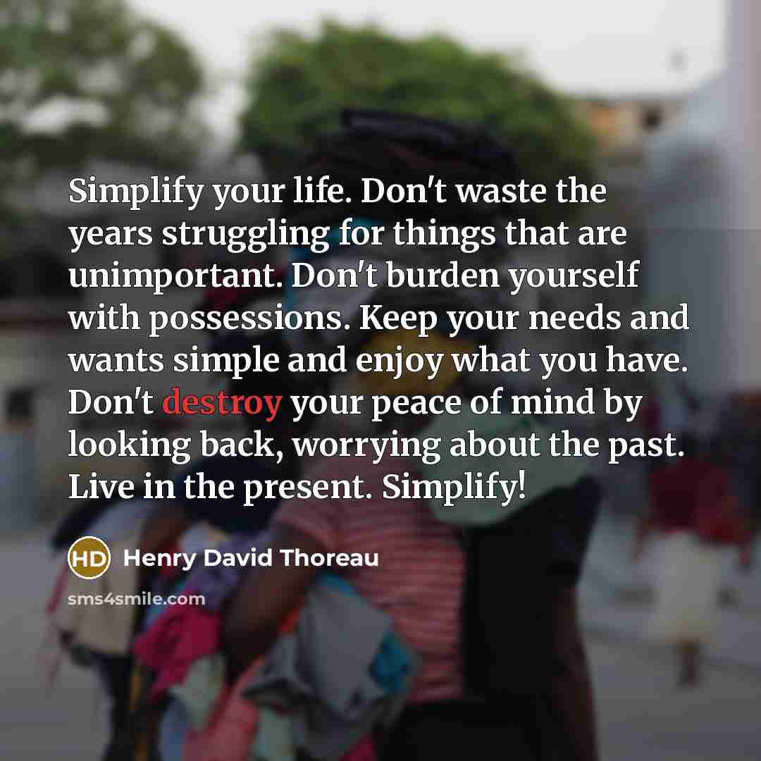 “Simplify your life. Don't waste the years struggling for things…” quote by Henry David Thoreau
