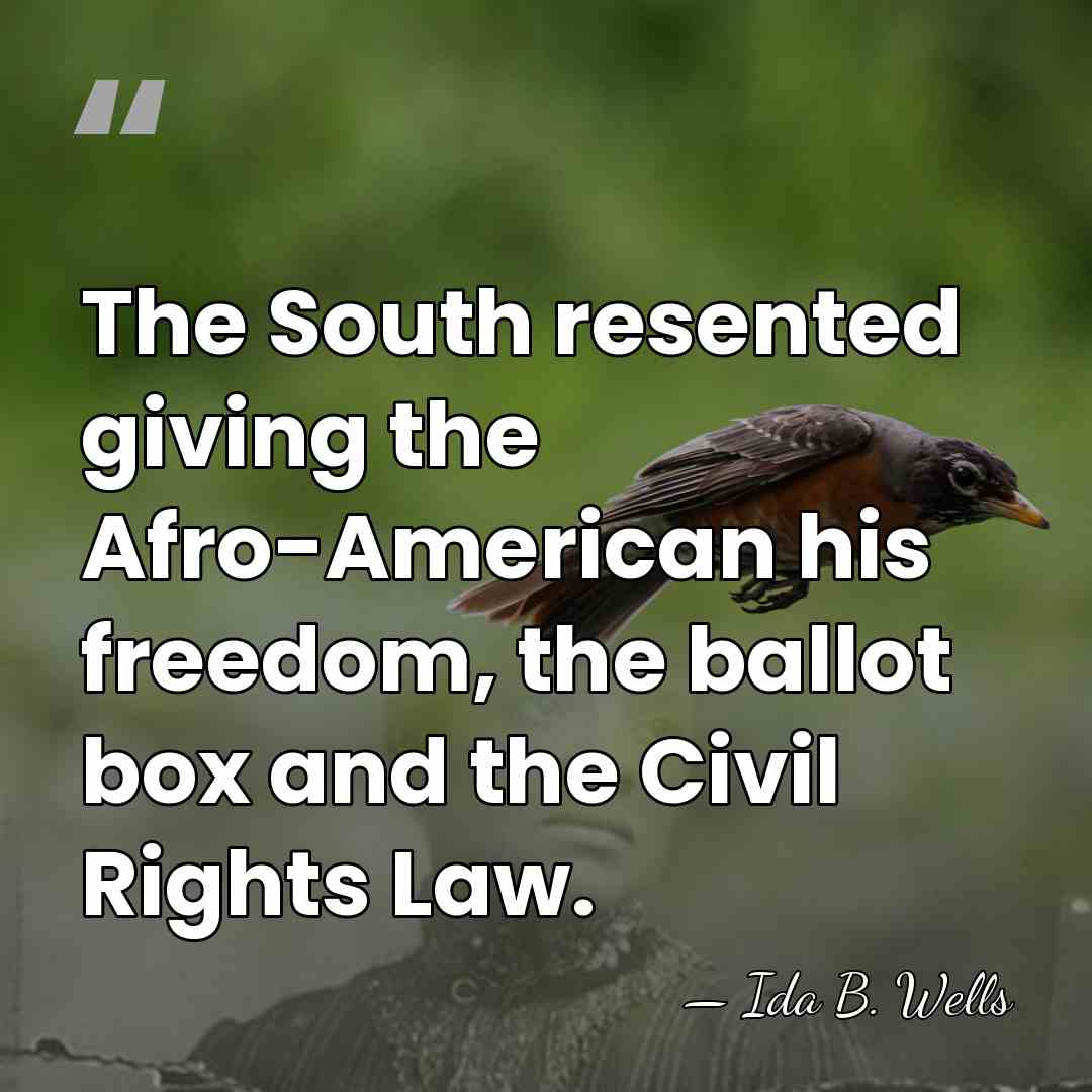 The South resented giving the Afro-American his freedom, the ballot box and&hellip; - Ida B. Wells