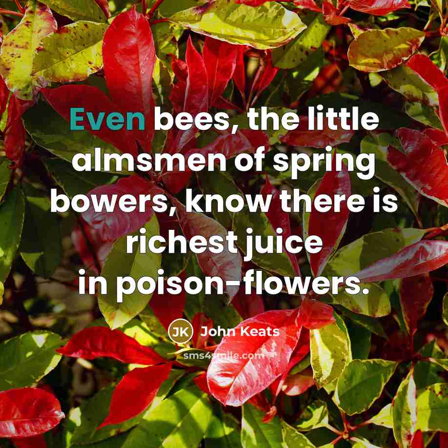 “Even bees, the little almsmen of spring bowers, know there…” quote by John Keats