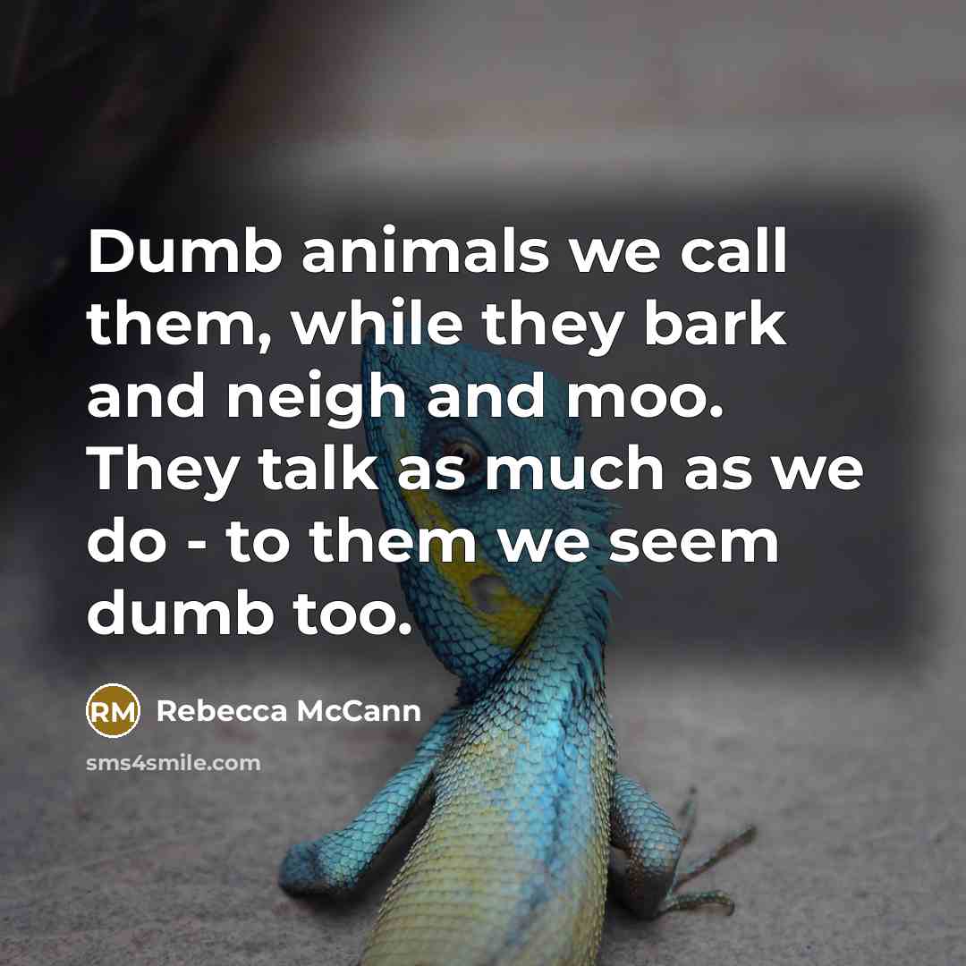 “Dumb animals we call them, while they bark and neigh…” quote by Rebecca McCann