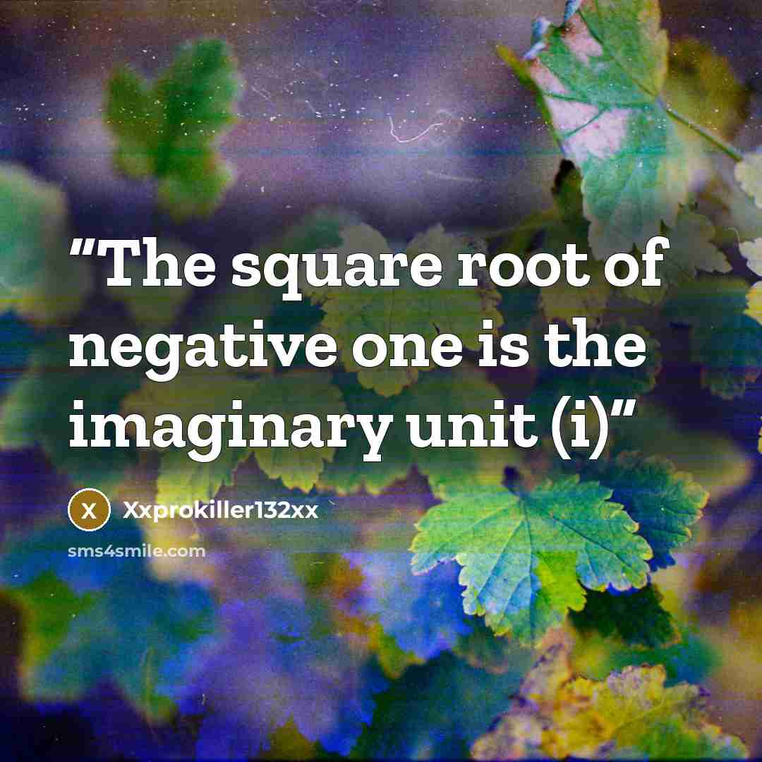 “The square root of negative one is the imaginary unit (i)” quote by Xxprokiller132xx