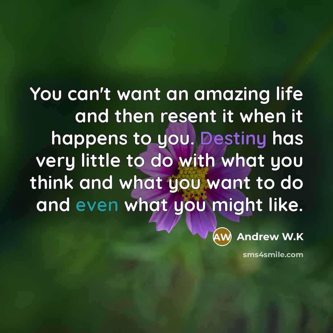 “You can't want an amazing life and then resent it…” quote by Andrew W.K