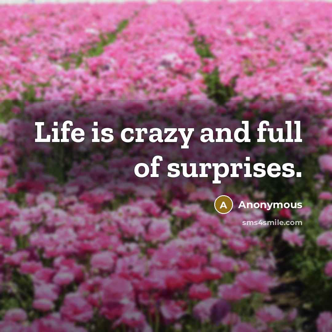 “Life is crazy and full of surprises.…” quote by Anonymous