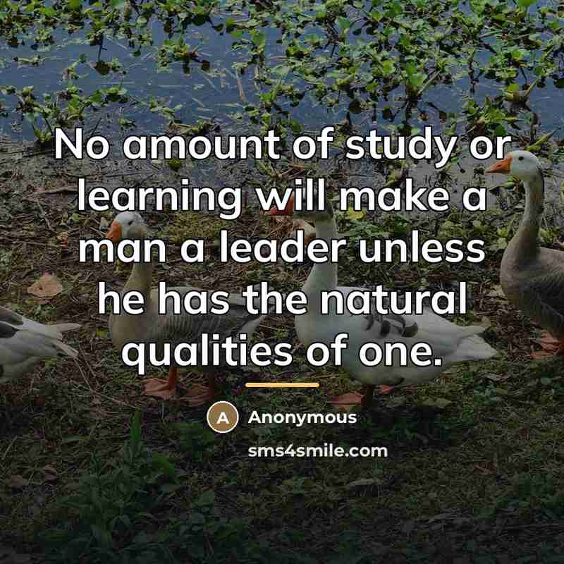 “No amount of study or learning will make a man…” quote by Anonymous
