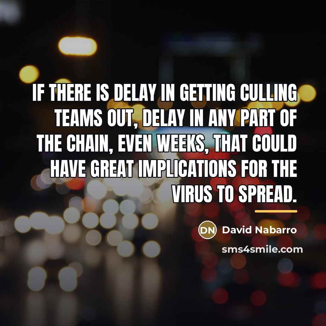 “If there is delay in getting culling teams out, delay…” quote by David Nabarro