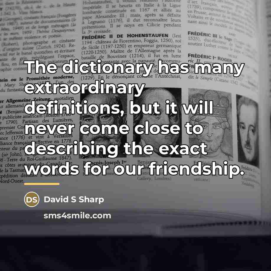 “The dictionary has many extraordinary definitions, but it will never…” quote by David S Sharp