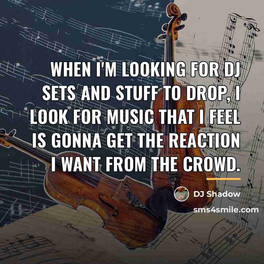 “When I'm looking for DJ sets and stuff to drop,…” quote by DJ Shadow