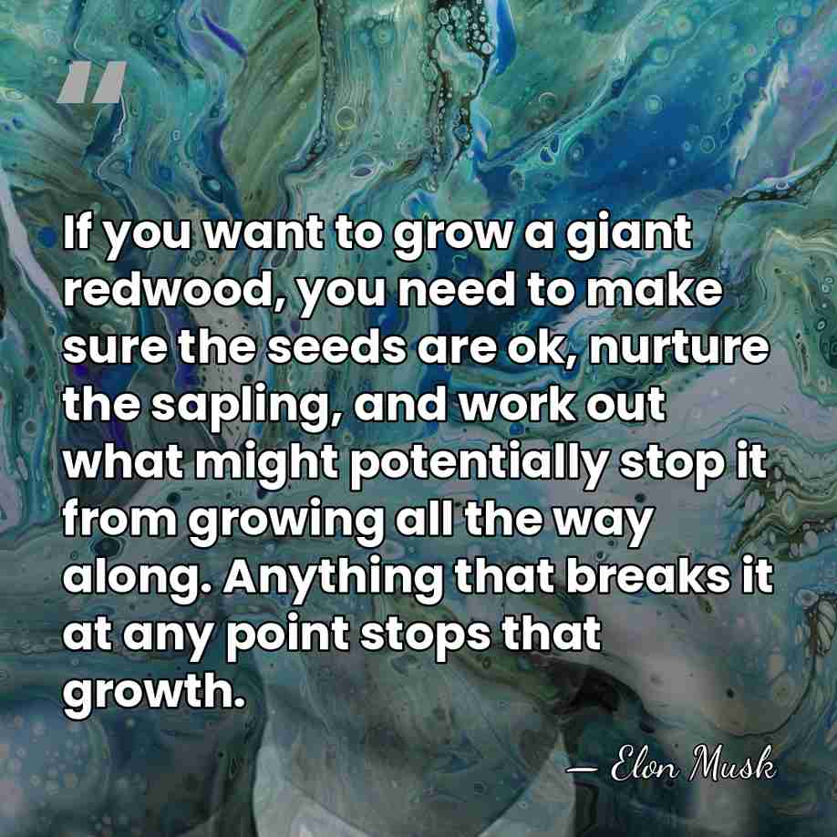 If you want to grow a giant redwood, you need to make&hellip; - Elon Musk