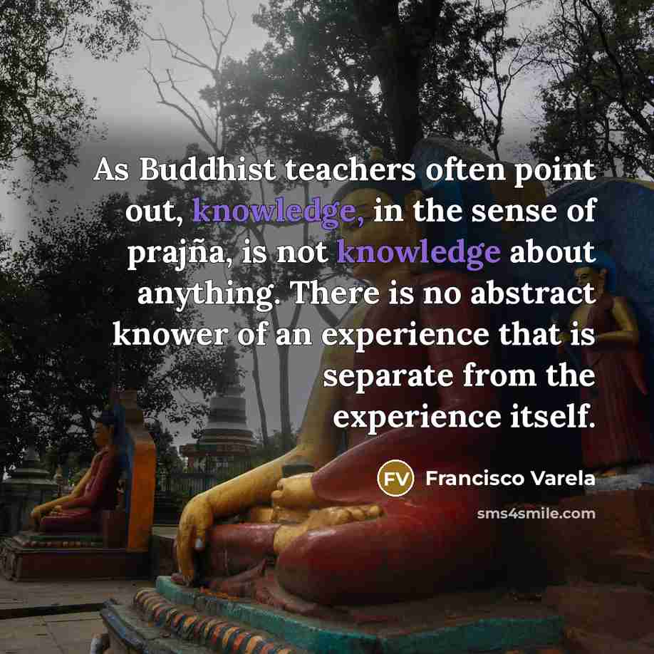 “As Buddhist teachers often point out, knowledge, in the sense…” quote by Francisco Varela